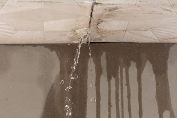 Professional Structural Drying technician working in Clinton, WI